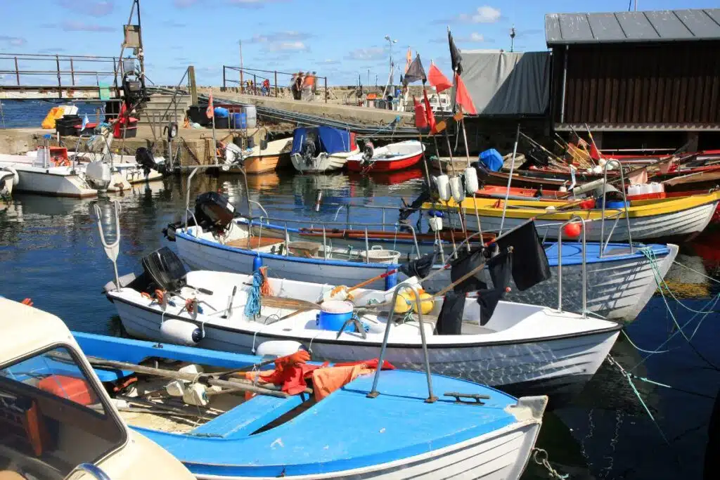 Snogebæk - port