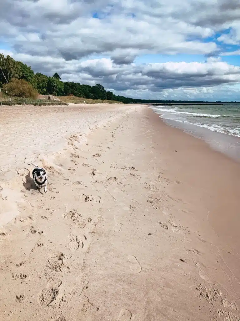 Ystad: atrakcje i przewodnik po malowniczym szwedzkim mieście 20 Ystad: atrakcje i przewodnik po malowniczym szwedzkim mieście 13