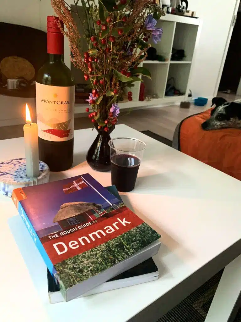 Stolik z czerwonym winem, zapaloną świecą, bukietem z owocami dzikiej róży i przewodnikiem po Danii, w tle pies na pomarańczowym łóżku