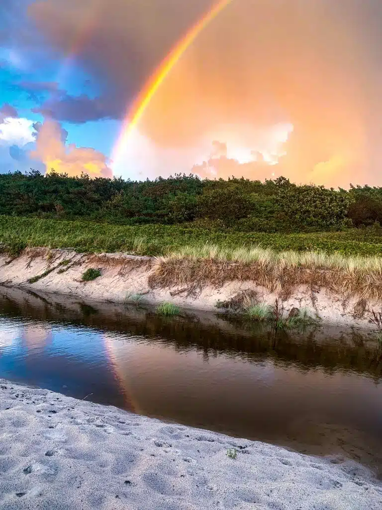 Tęcza odbija się w rzeczce płynącej przez plażę, za nią piaszczysta skarpa z trawą i las