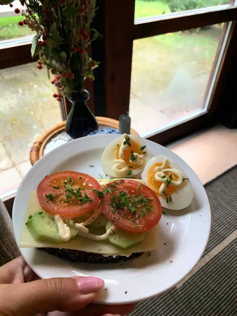 Smørrebrød z serem, ogórkiem i pomidorem na żytnim chlebie oraz jajka na talerzu trzymanym przy oknie